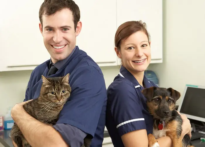 Compassionate Veterinarian Compounding for Pets in Aventura, FL